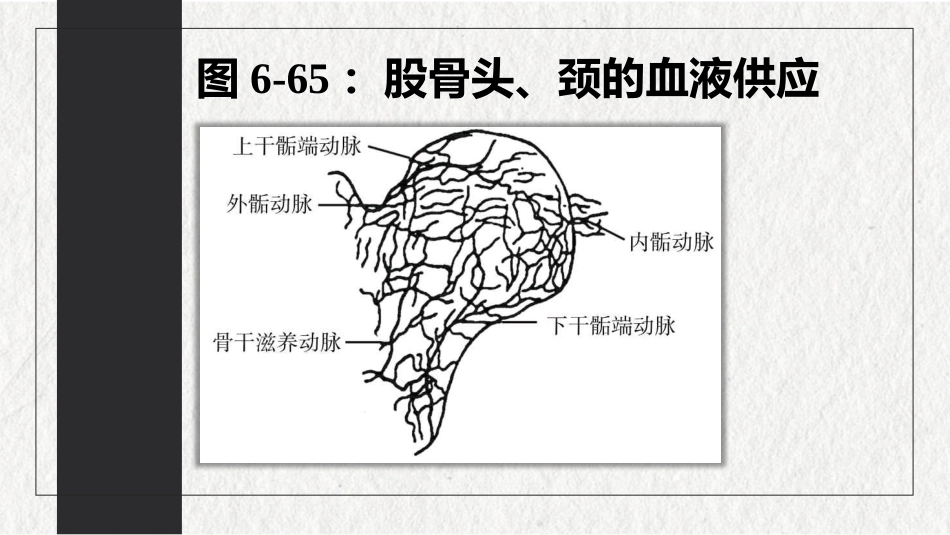 骨折-下肢骨折(中医骨伤科学十三五教材)_第12页