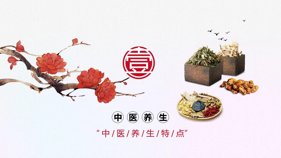中医养生保健01_第4页