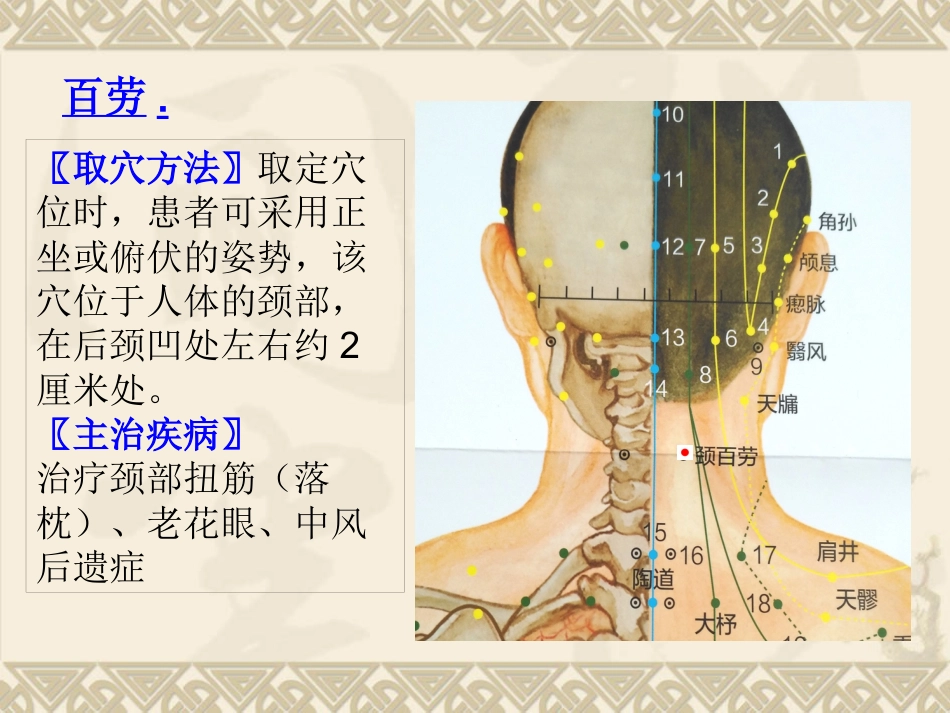 颈肩腰腿痛穴位讲解图PPT课件_第10页