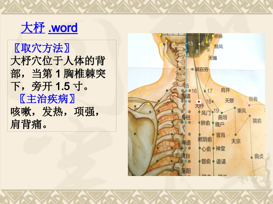 颈肩腰腿痛穴位讲解图PPT课件_第12页