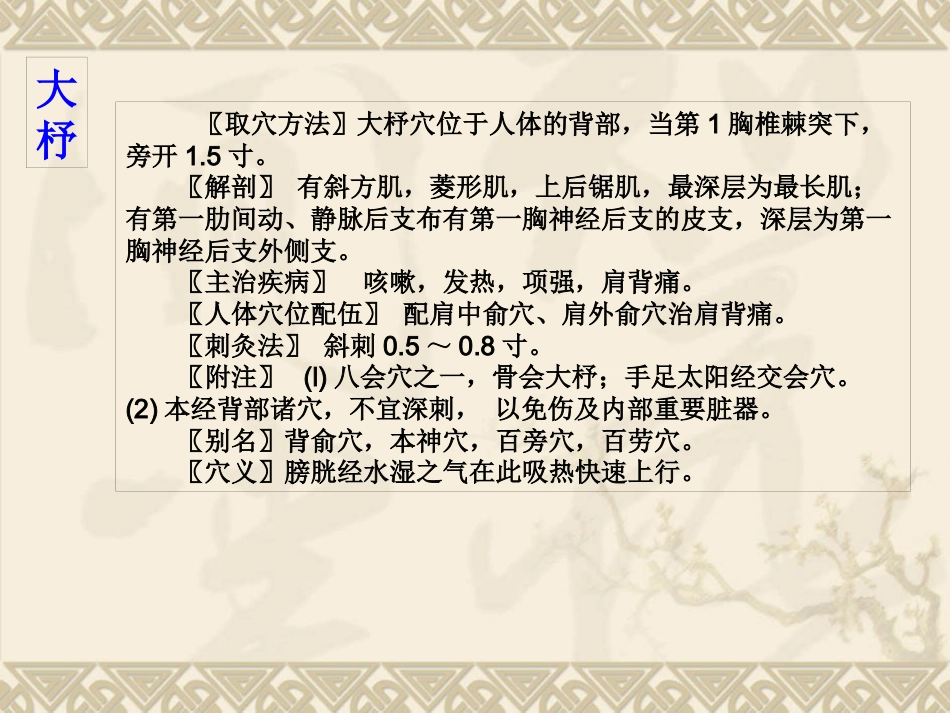 颈肩腰腿痛穴位讲解图PPT课件_第13页