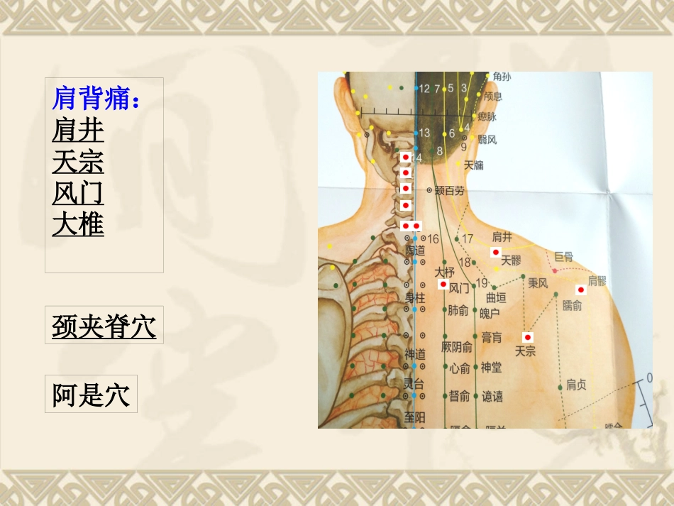 颈肩腰腿痛穴位讲解图PPT课件_第15页