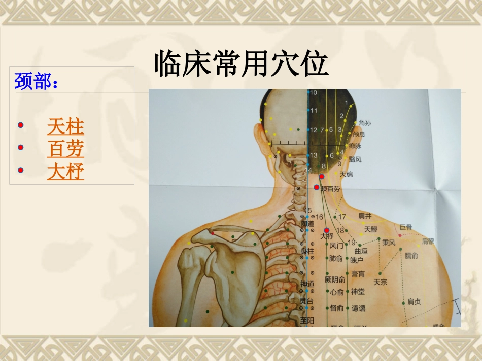 颈肩腰腿痛穴位讲解图PPT课件_第7页