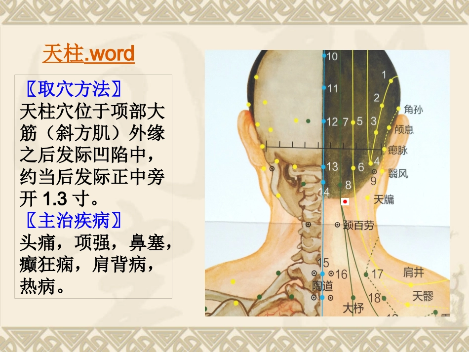 颈肩腰腿痛穴位讲解图PPT课件_第8页