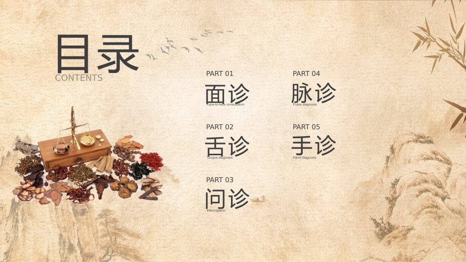 中医其他：中医诊断学_第3页