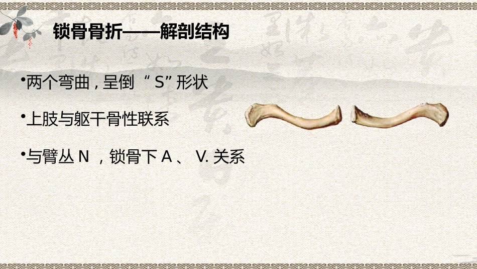 中医治疗：上肢骨折_第6页