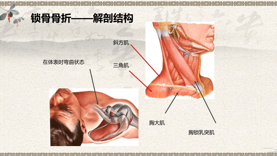 中医治疗：上肢骨折_第7页