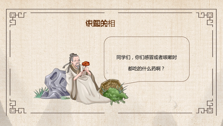 中医其他：中医药进校园_第5页