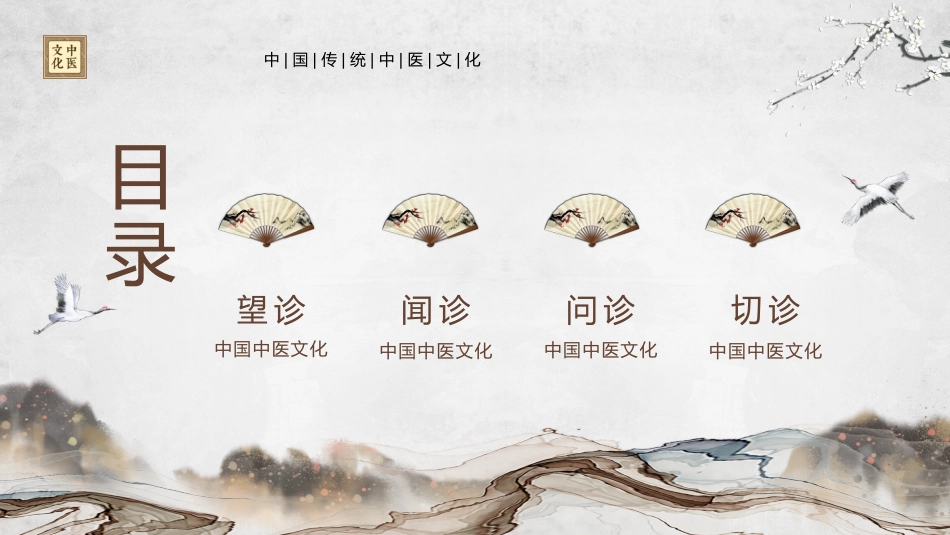 中医其他：中医四诊_第2页