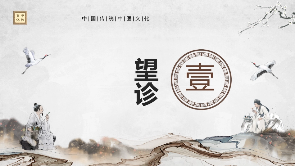 中医其他：中医四诊_第3页