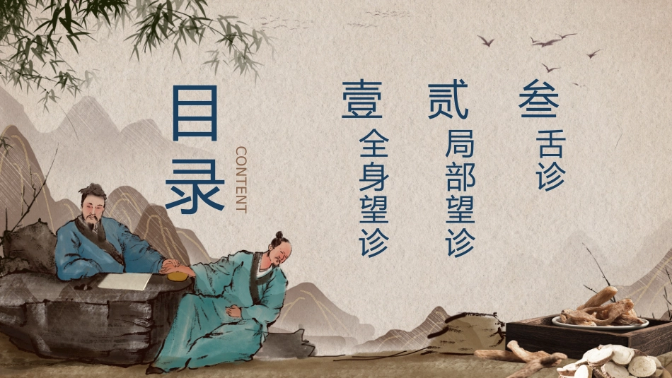 中医其他：中医望诊_第2页