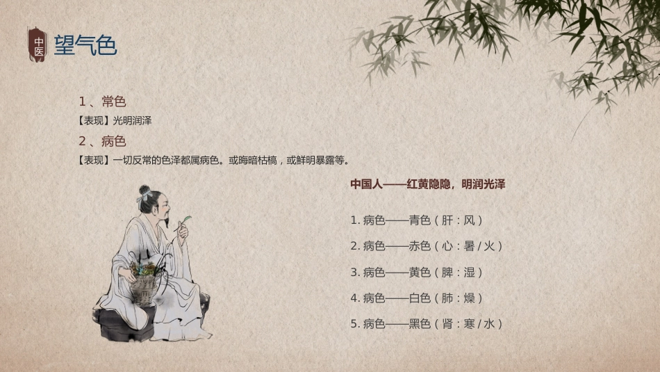 中医其他：中医望诊_第5页