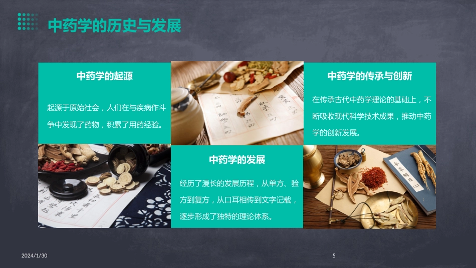 中药学全套(完整版)课件_第5页