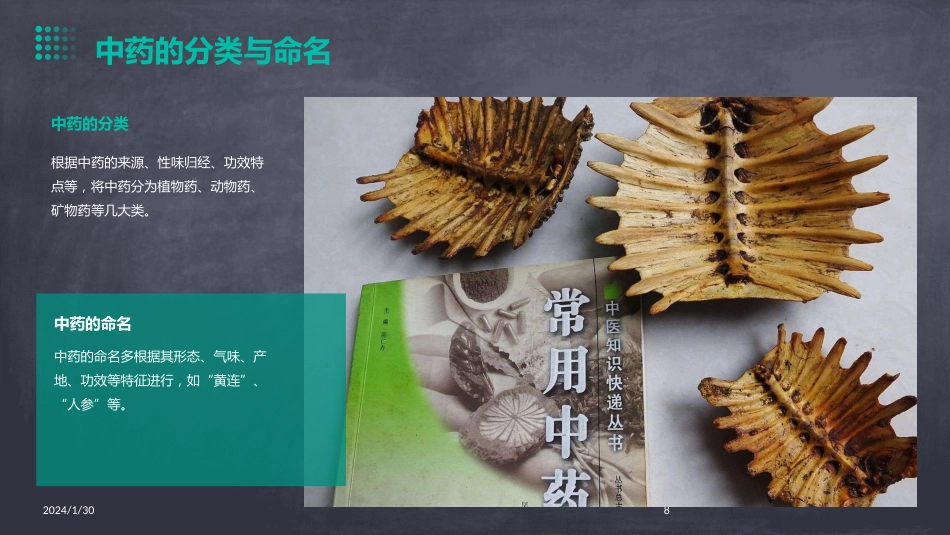中药学全套(完整版)课件_第8页