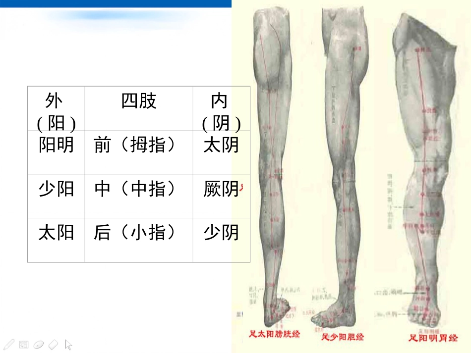 经络-腧穴学_第13页