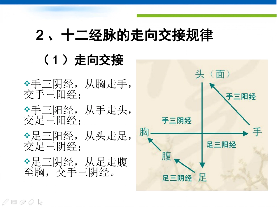 经络-腧穴学_第15页