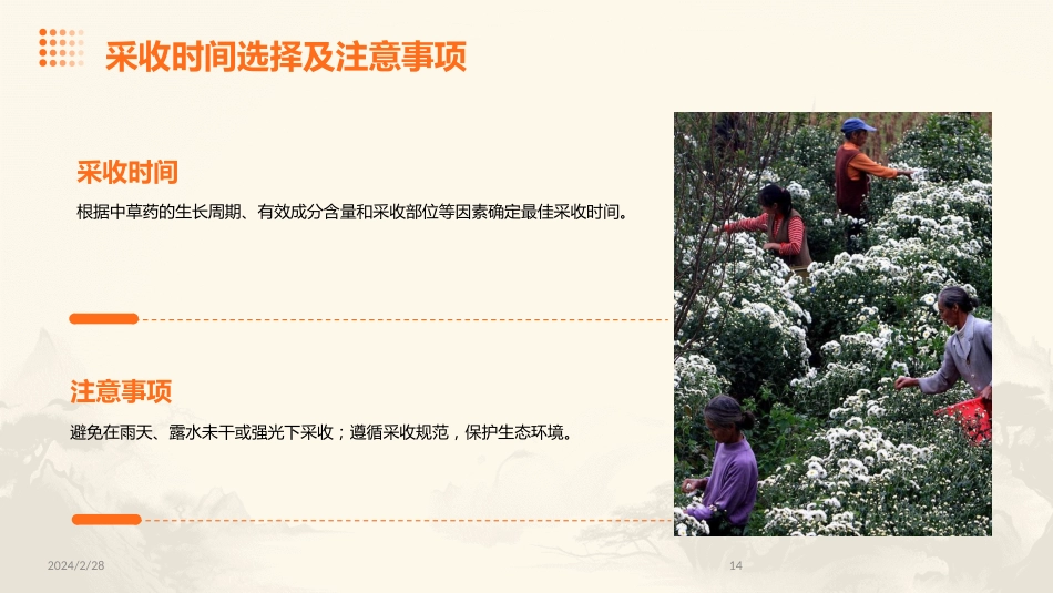 中草药ppt课件完整版_第14页