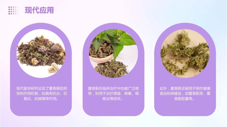 藿香蓟的功效和作用_第10页