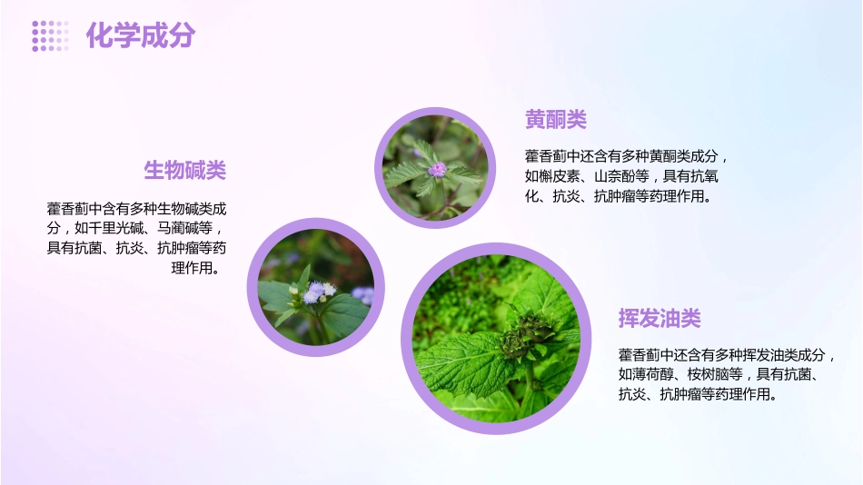 藿香蓟的功效和作用_第12页