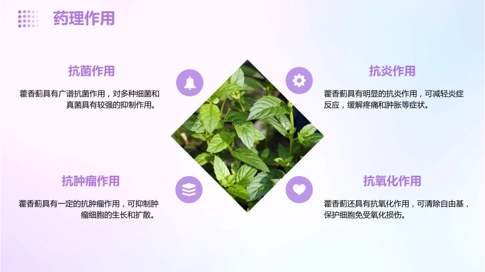 藿香蓟的功效和作用_第13页