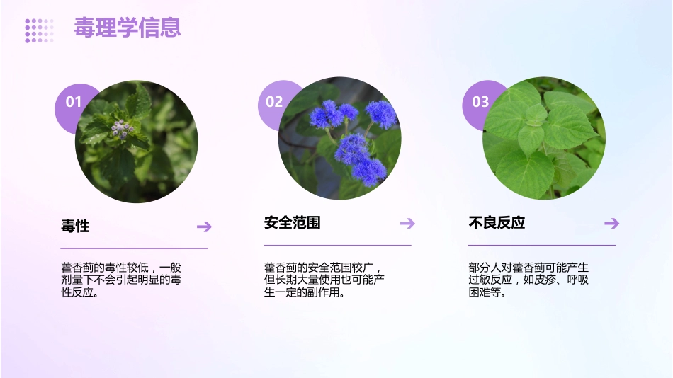 藿香蓟的功效和作用_第14页