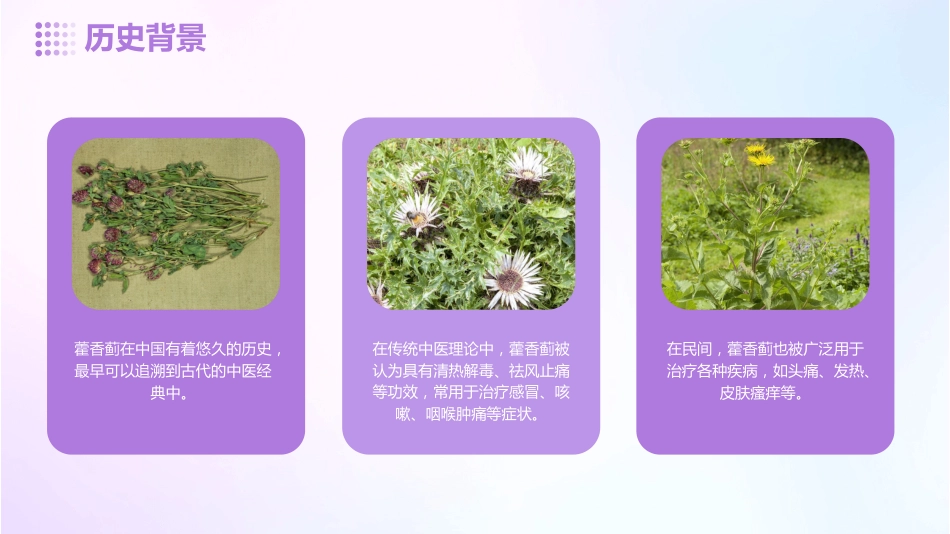 藿香蓟的功效和作用_第8页