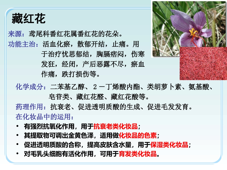 中草药功效介绍_第13页