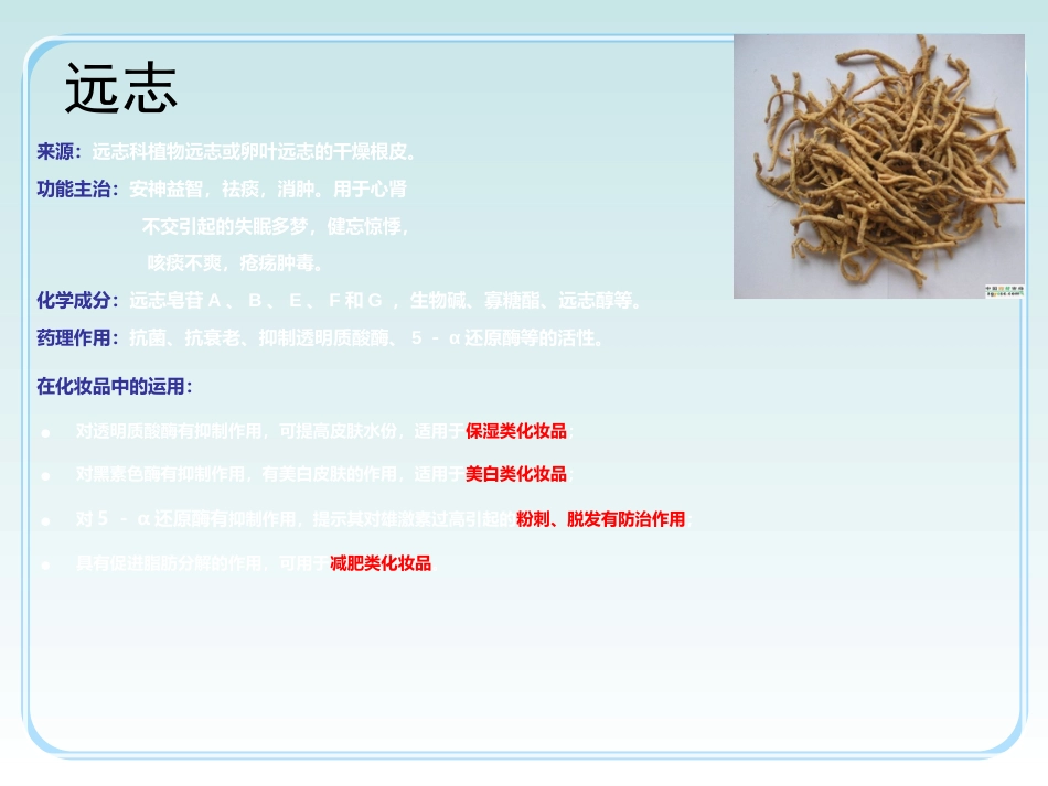 中草药功效介绍_第4页