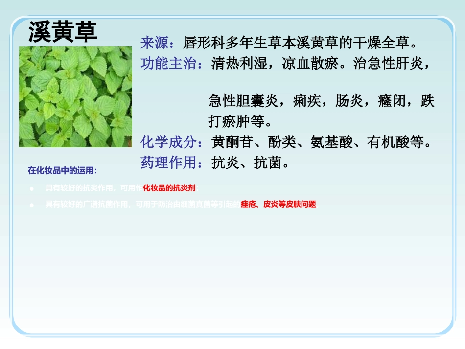 中草药功效介绍_第8页