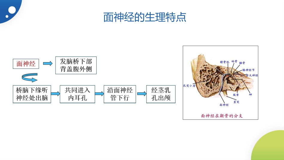 中医治疗：面神经炎_第3页