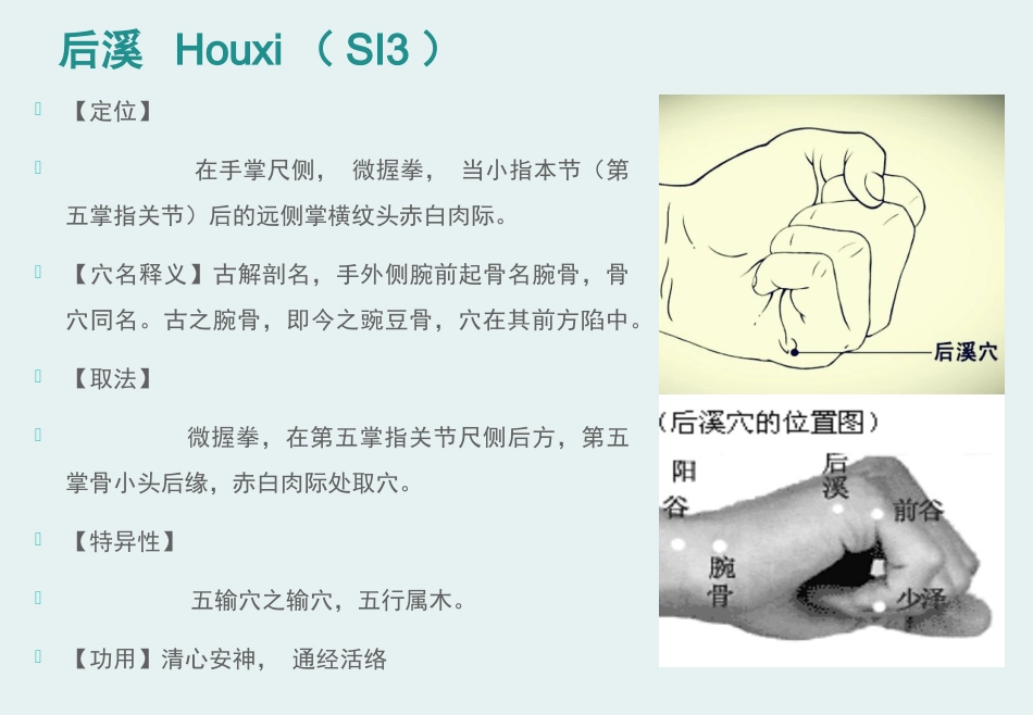经络腧穴学(含穴名释义)-手太阳小肠经_第13页