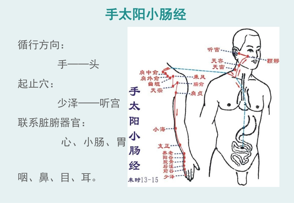 经络腧穴学(含穴名释义)-手太阳小肠经_第3页