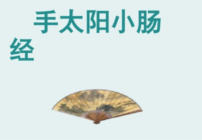 经络腧穴学(含穴名释义)-手太阳小肠经