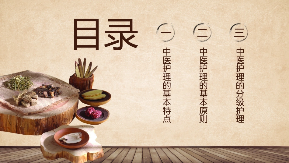 中医护理：中医护理课程1_第2页