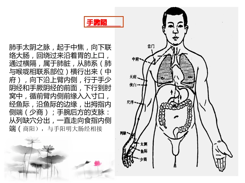 经络穴位养生_第10页
