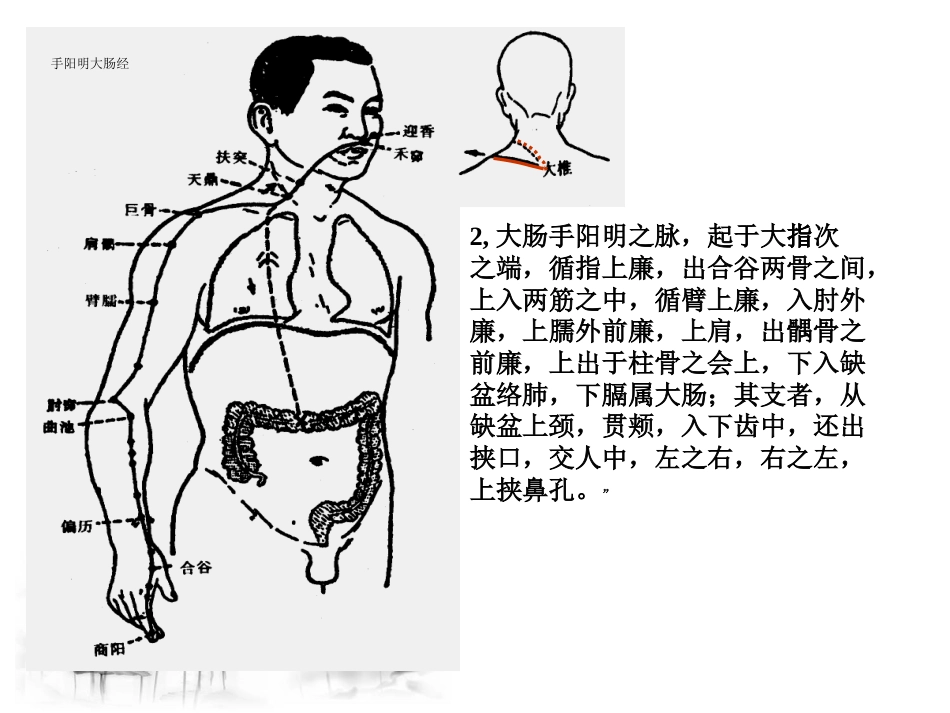 经络穴位养生_第14页