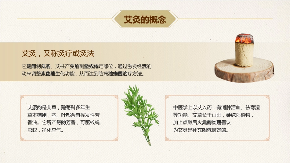 中医养生：艾灸养生_第4页