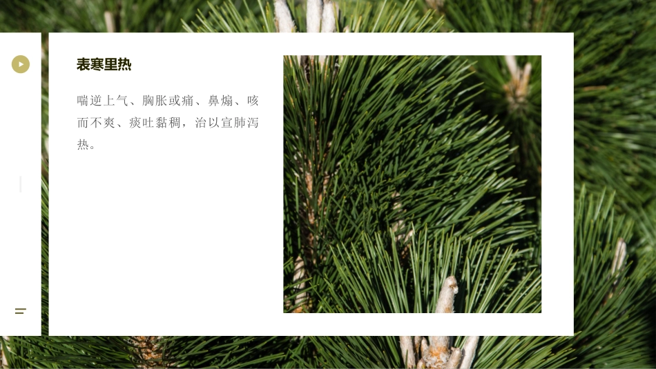 中医护理：喘症中医护理1_第7页