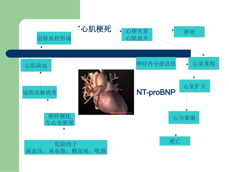 冠心病的中医药防治PPT_第7页