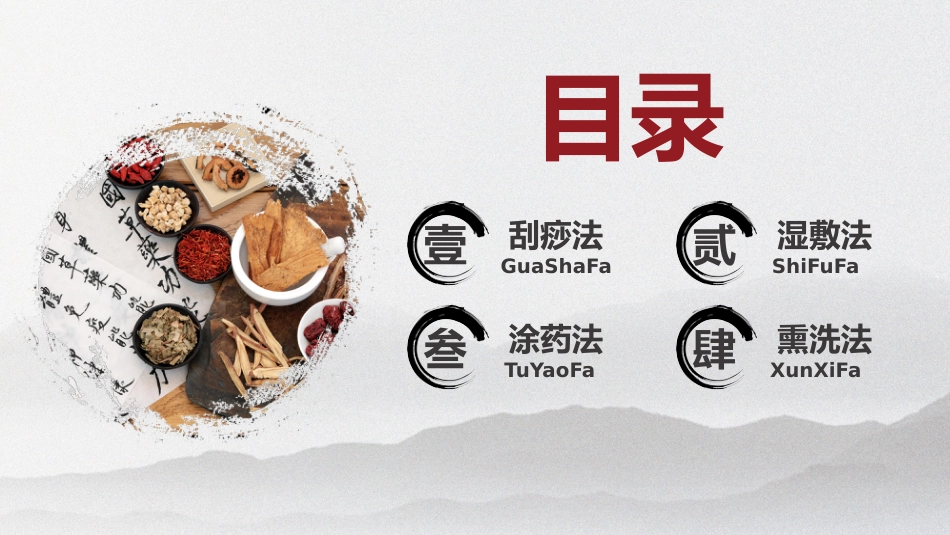 中医护理：中医护理技术_第2页