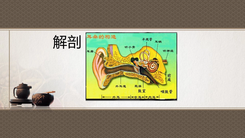 中医护理：脓耳的护理_第4页
