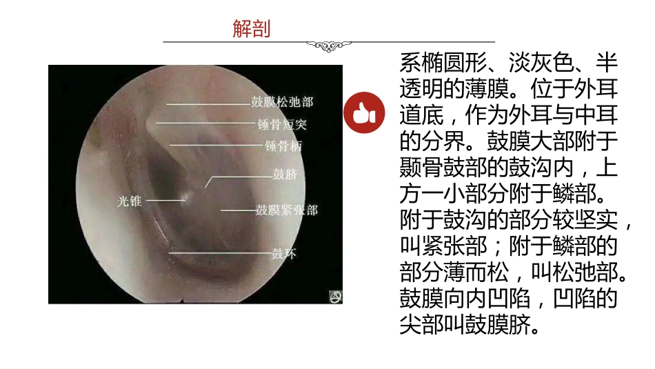 中医护理：脓耳的护理_第5页