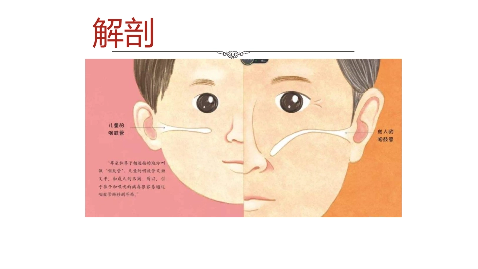 中医护理：脓耳的护理_第6页