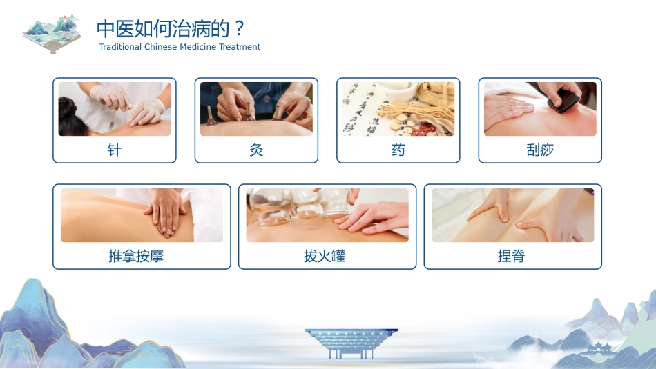 中医其他：祖国的传统医学_第10页