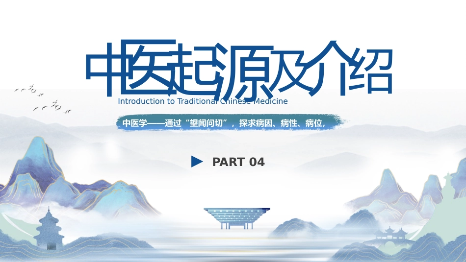 中医其他：祖国的传统医学_第12页