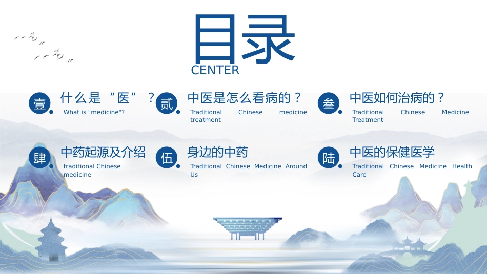 中医其他：祖国的传统医学_第2页