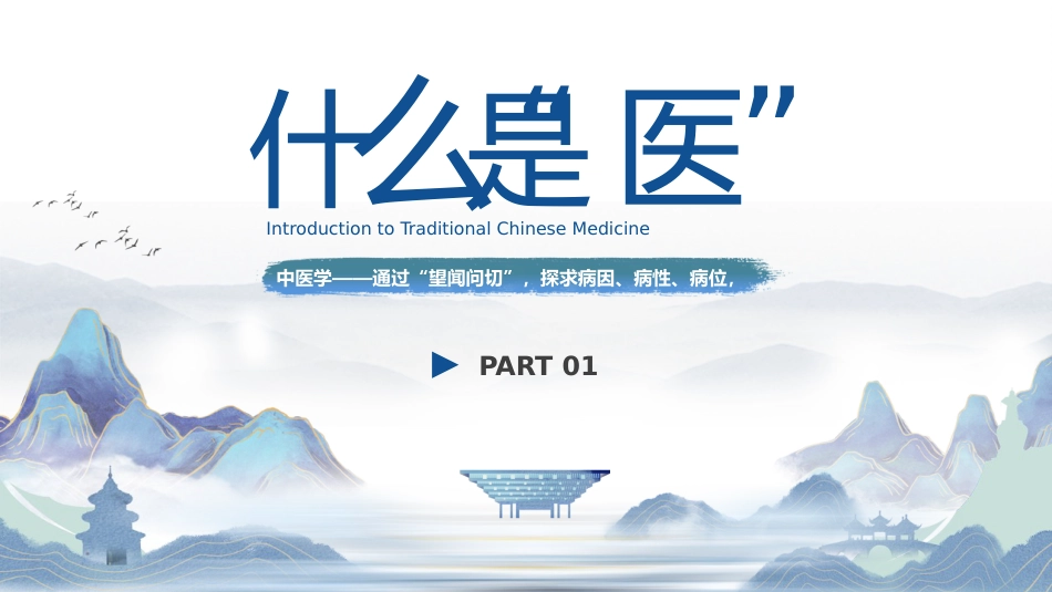 中医其他：祖国的传统医学_第3页