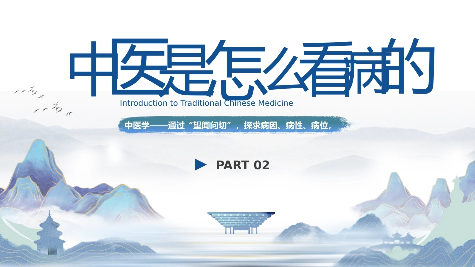 中医其他：祖国的传统医学_第7页