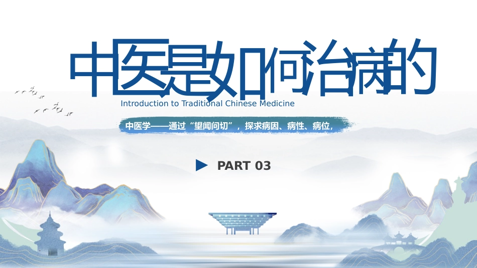 中医其他：祖国的传统医学_第9页