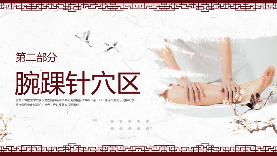 中医治疗：腕踝针中医技术1_第10页